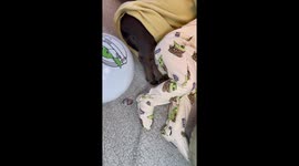 Manda-snore-ian: Baby and French Bulldog snuggle to sleep in baby Yoda outfits