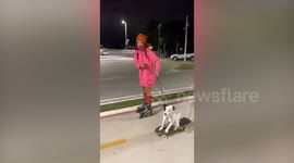 Adorable pet dog rides skateboard