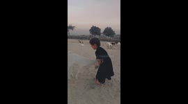 Baby playing with goat baby