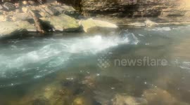 Tranquil creek during a warm winter day in the Ozarks of Arkansas