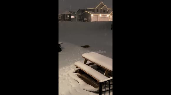temp