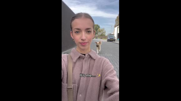 temp