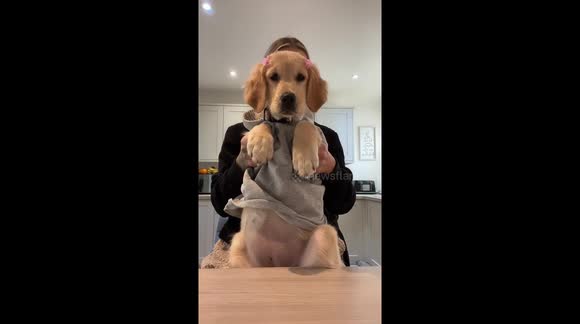 temp