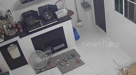 Pet cat and owner slide across wet kitchen floor in amusing cleaning fail