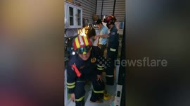 Trembling pet husky rescued after hiding behind in wall during New Year fire works