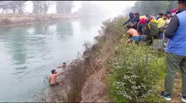 Cow heroically rescued from Indian canal