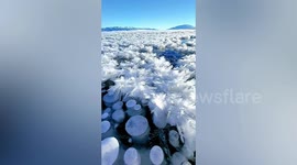 Stunning frozen methane bubbles and frost flowers form in Chinese lake