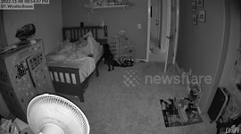 Adorable puppy checks on five-year-old brother every night before going to bed