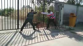 Rescuers pull apart thick steel bars of gate to free stuck German Shepherd pooch in Thailand