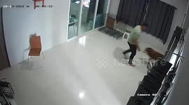 Excited pet Siberian Husky cracks glass door while running to greet owner