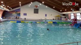 Girls make fools of themselves while attempting a pool obstacle course with 'Zero Strategy'