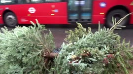 Londoners dispose of Christmas trees on the road side in early January 2023
