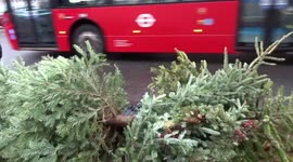 Londoners dispose of dozens of Christmas trees on road side