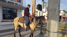 Cowboys in Venice