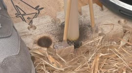 Uni students compete for the fastest of drilling wood for fire