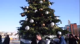 This Christmas Tree is also a beer tap