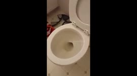 Poop Water and Penis Soap