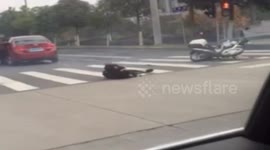 警车被撞原地打转