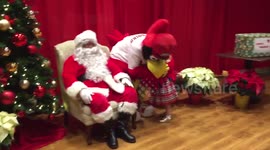 Sad Santa shown up by another fancy dress character
