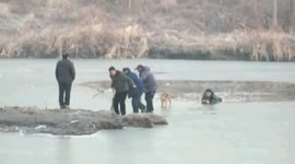 Kind bystanders save man and his dog from ice hole