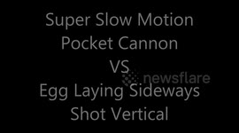 Super Slow Motion Pocket Cannon VS Egg Laying Sideways Shot Vertical