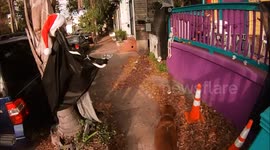 Home owner turns Halloween decorations into Christmas ones