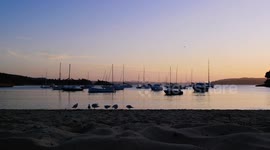 Just a stunning video of the sunset over Sydney Harbour