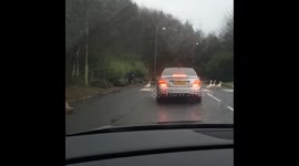 Organised Geese Using The Zebra Crossing