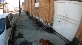 Graffiti on Historic Bank Building, New Orleans