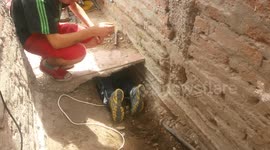 RESCATE PERRITOS DE CHIRIPA PARTE 3