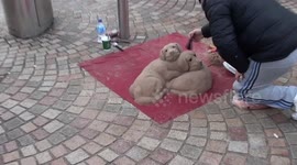 street entertainers