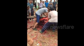 水族葬礼砍牛祭亡者
