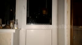 Cat demands to be let in the house by jumping really high to get owner's attention