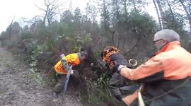 Hunters rescue young boar from dogs