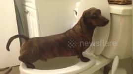 Owen peeing in the potty
