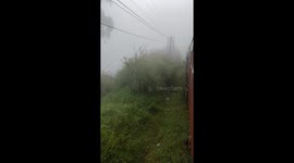 Morning train ride