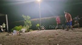 Protective pet dog grabs New Year fireworks in its mouth