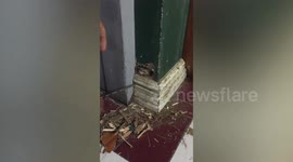 Kind nurse cut hole in office's wall to save trapped kitten