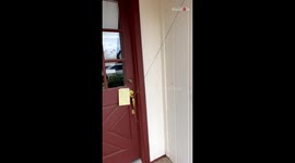 Considerate neighbors save the day after dog owner forgets to lock the door before leaving