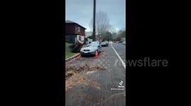 Fallen trees smash cars in aftermath of massive California rainstorm in Sacramento