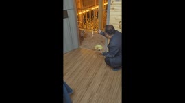Chinese middle-aged man feeds a wild fox with noodles