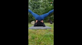 Athletic German Pinscher impresses with a cool jump over upside-down hooman