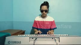 Silly pet cat interrupts owner playing keyboard piano