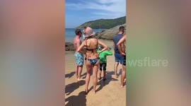 Sea snake captivates beachgoers when it swam near shallows on Thai island