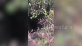 Labrador lost for 24 hours in the Peak District rescued after being found down 15ft hole
