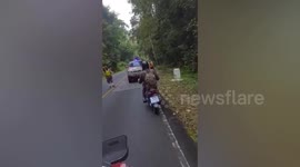 Motorists encounter wild elephant strolling along national park in Thailand