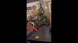Woman surprised daughter with first expensive gift of her life on Christmas!