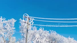 Several nights of cold and fog turned Minnesota into a stunning winter wonderland