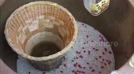 Wine Aroma Attract Bees In A Fair In Yichang, China