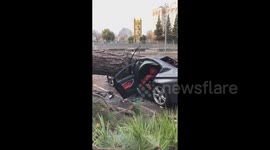 California storm: Car crashed by falling tree